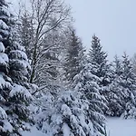 Zbojnicka * Zieleniec (Klodzko)