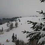Zbojnicka
