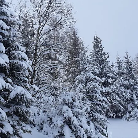 Zbojnicka * Zieleniec (Klodzko)