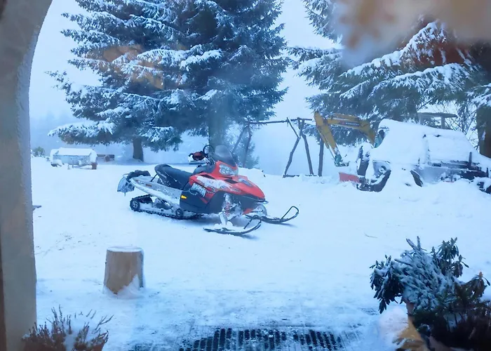 Zbojnicka Zieleniec (Klodzko)