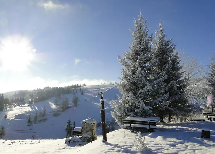 Zbojnicka Semesteranläggning (resort)