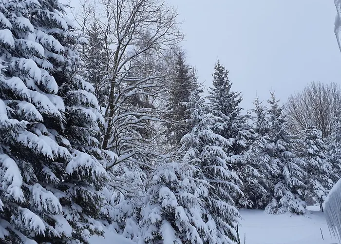 Zbojnicka * Zieleniec (Klodzko)
