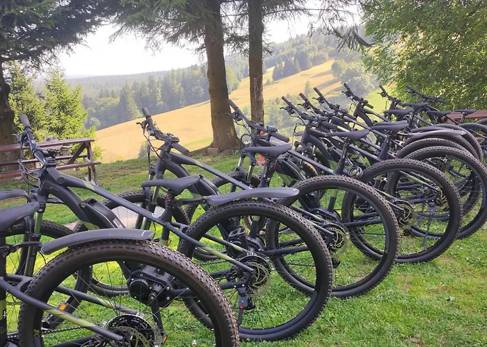 Semesteranläggning (resort) Zbojnicka Zieleniec (Klodzko)